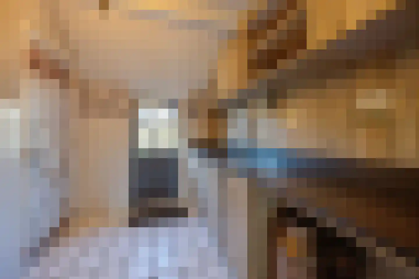 Korte Schoor 3 Etten-Leur thumbnail 22