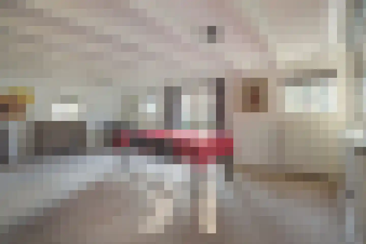 Korte Schoor 3 Etten-Leur thumbnail 29