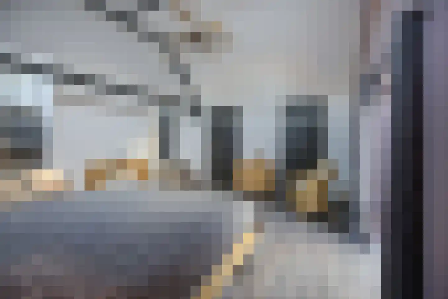 Korte Schoor 3 Etten-Leur thumbnail 35