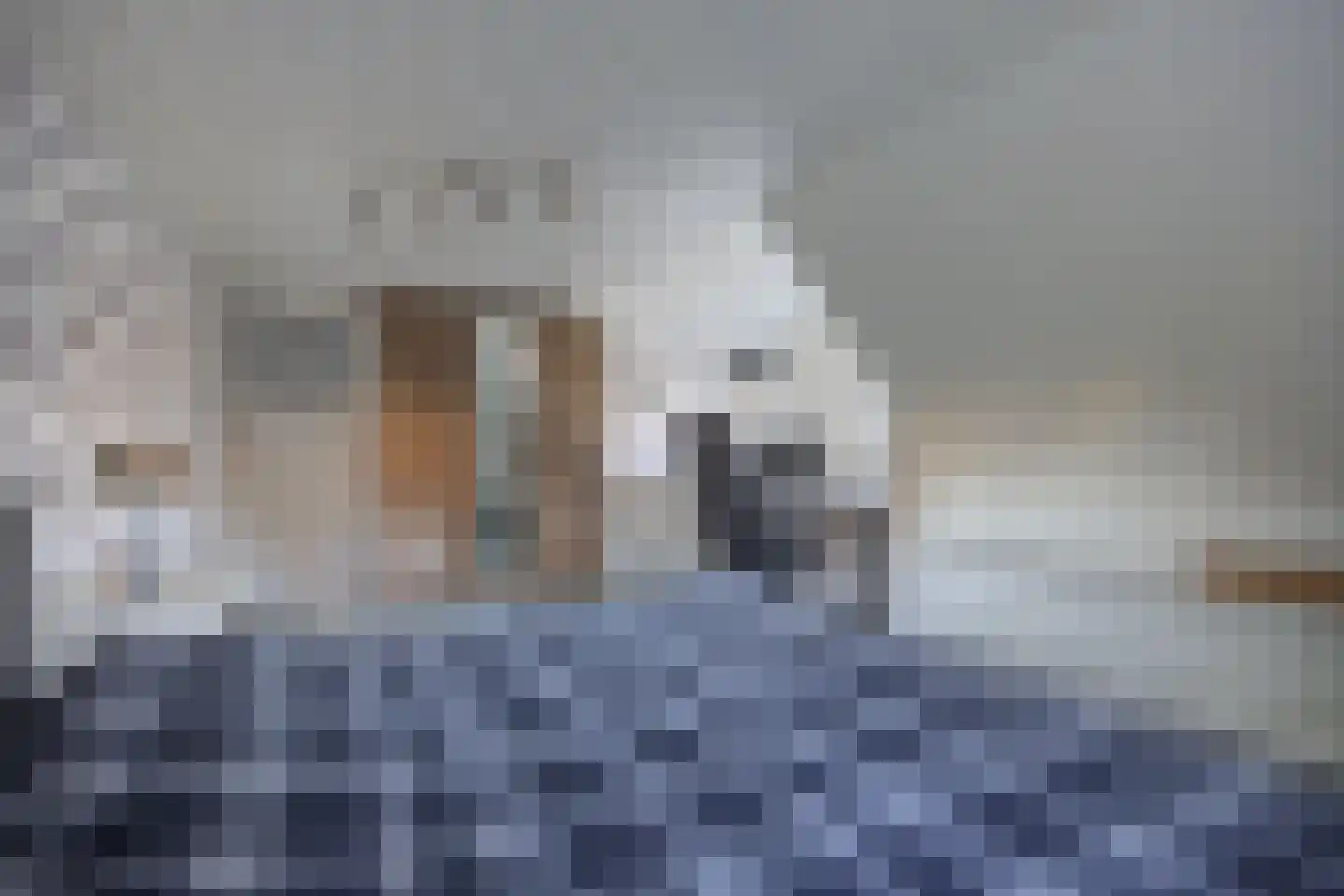 Korte Schoor 3 Etten-Leur thumbnail 45