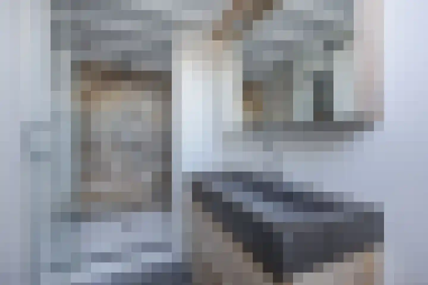Korte Schoor 3 Etten-Leur thumbnail 46