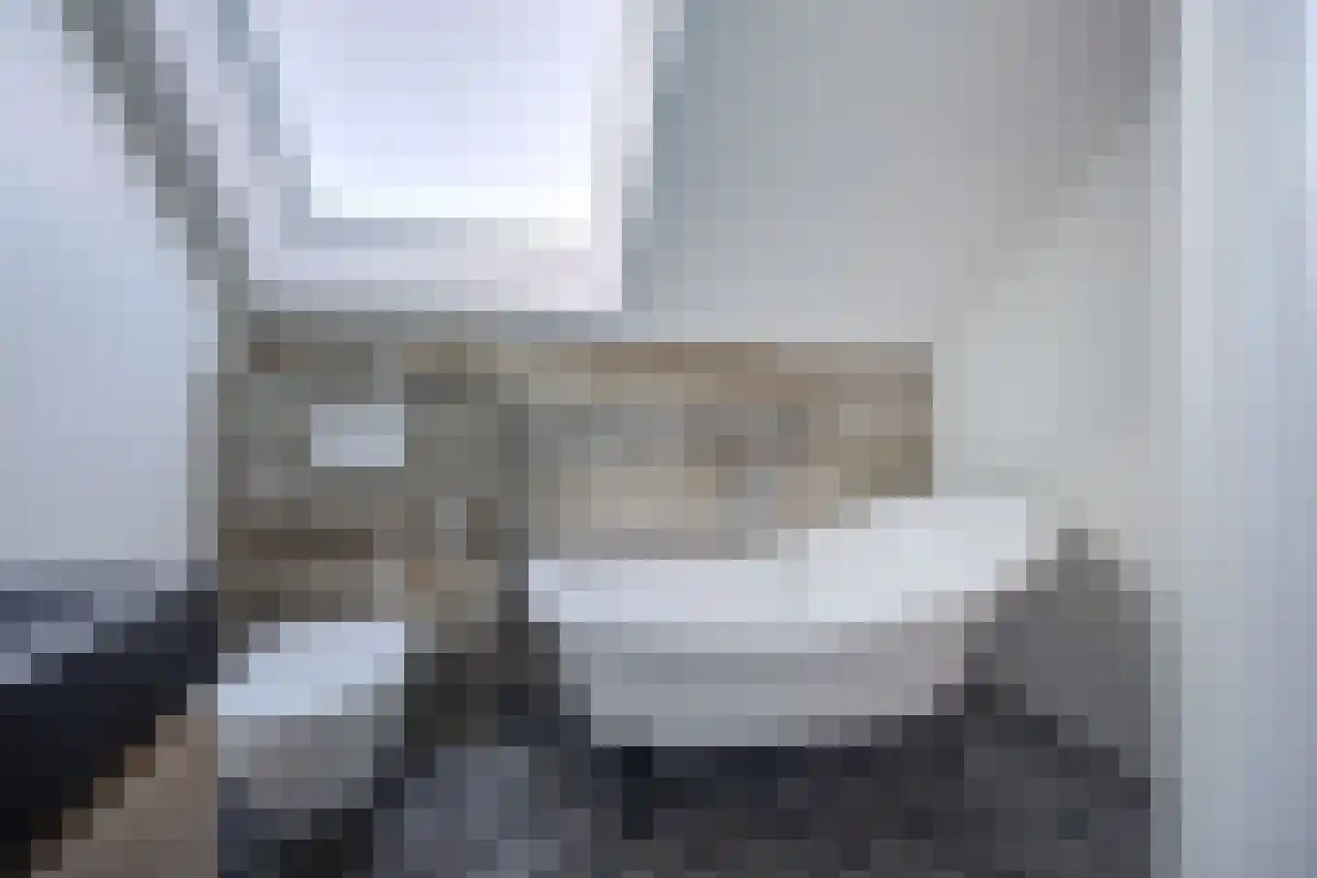 Korte Schoor 3 Etten-Leur thumbnail 47