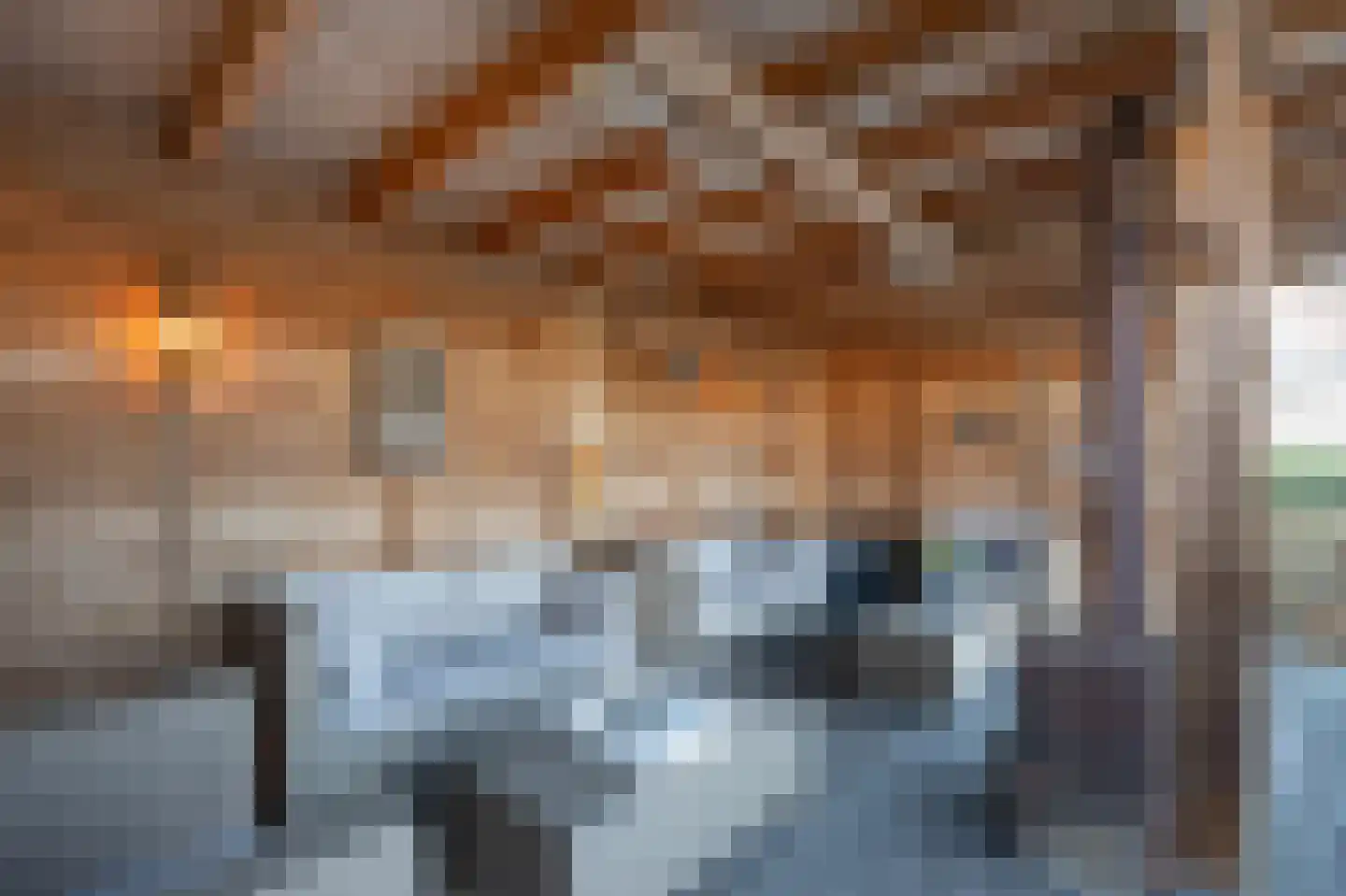 Korte Schoor 3 Etten-Leur thumbnail 54