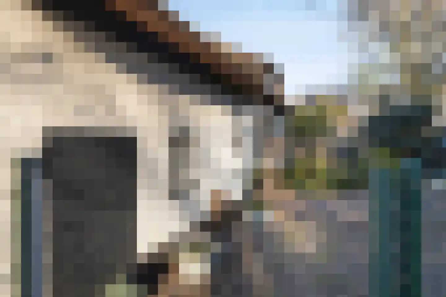 Korte Schoor 3 Etten-Leur thumbnail 66
