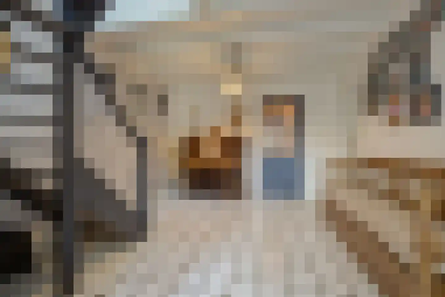 Korte Schoor 3 Etten-Leur thumbnail 8