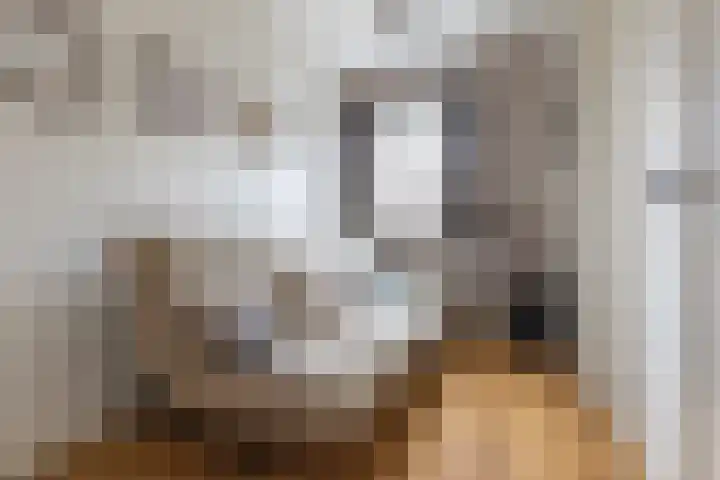 Korte Singel 52 Bussum thumbnail 30
