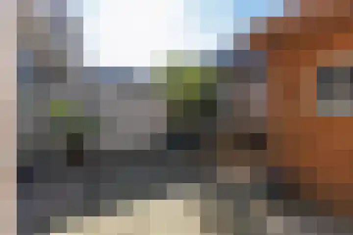 Korte Singel 52 Bussum thumbnail 44