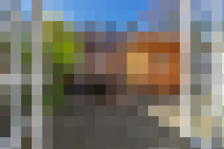 Korte Singel 52 Bussum thumbnail 5