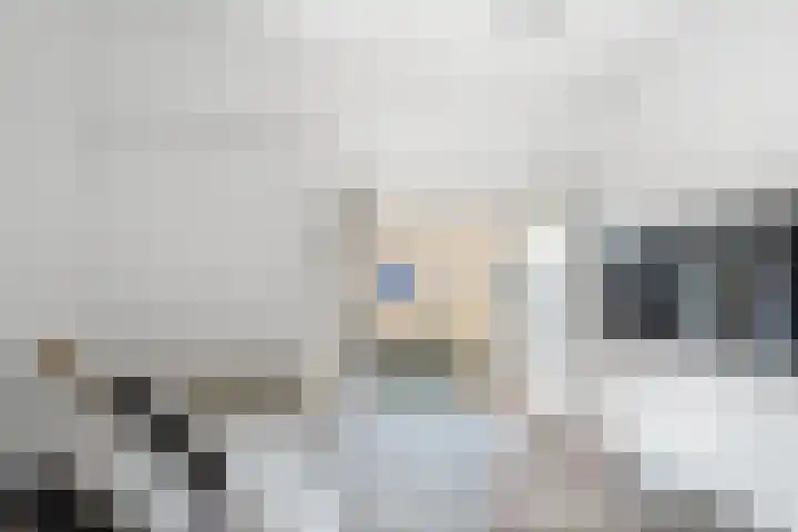Korte Singelstraat 22 1 Schiedam thumbnail 19