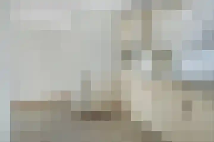 Korte Slagen 11 Breda thumbnail 13
