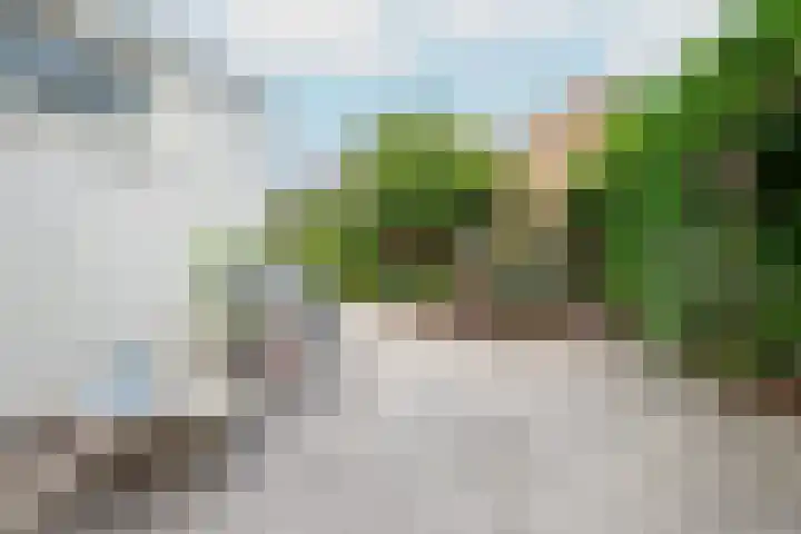 Korte Slagenstraat 3 Gorinchem thumbnail 20
