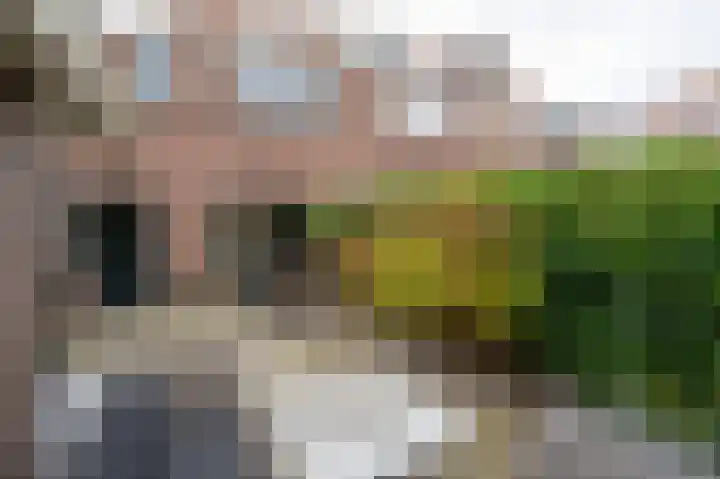 Korte Slagenstraat 5 Gorinchem thumbnail 31