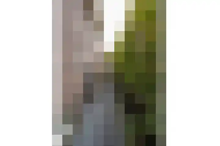Korte Slagenstraat 5 Gorinchem thumbnail 34