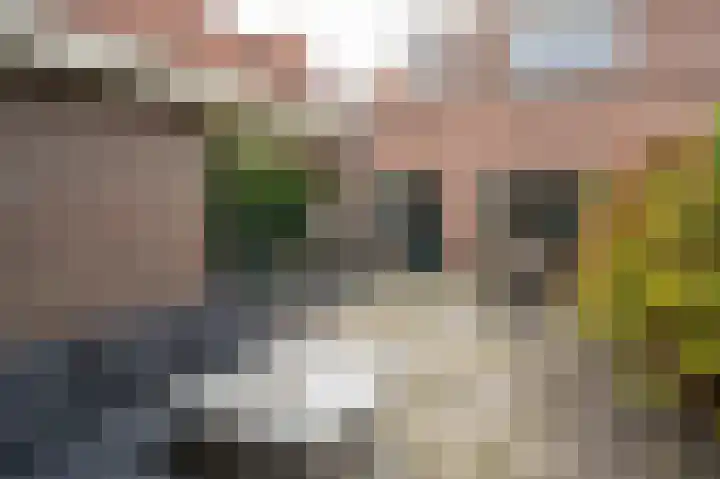 Korte Slagenstraat 5 Gorinchem thumbnail 4