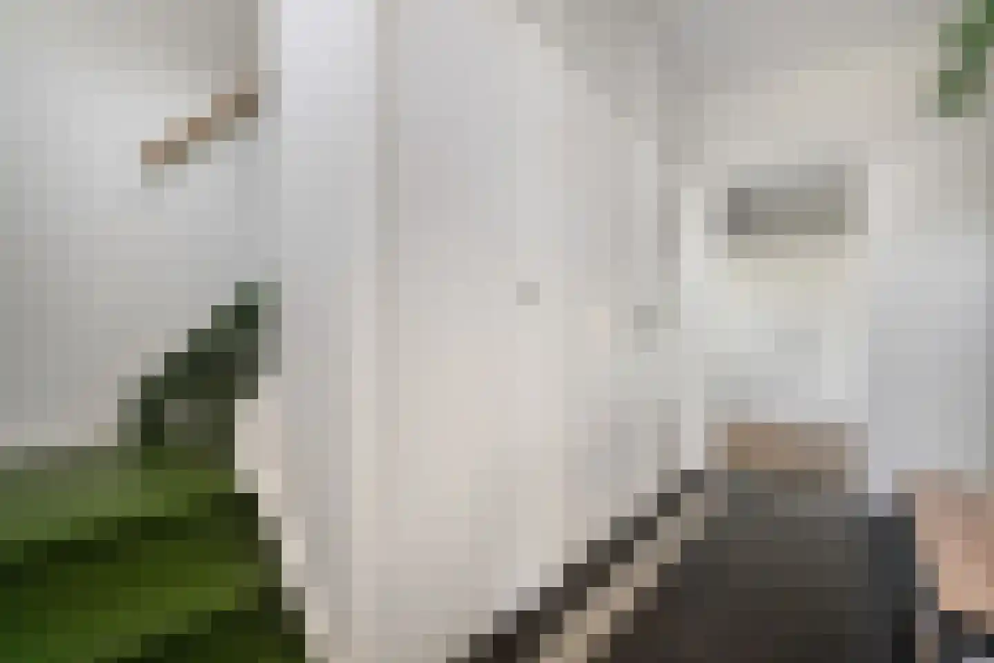 Korte Smallesteeg 4 Wijchen thumbnail 27