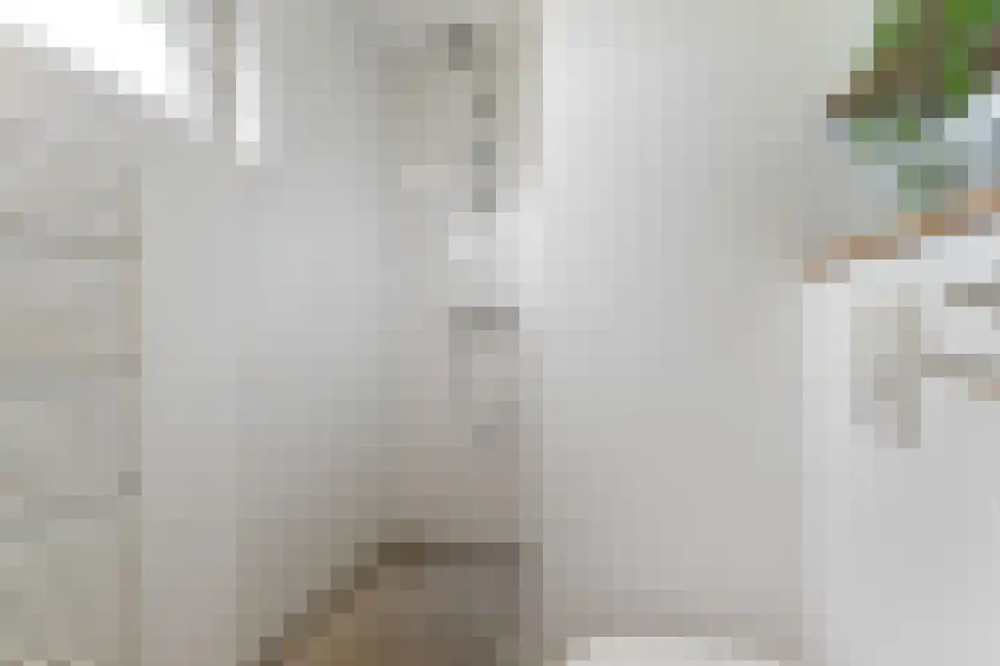 Korte Smallesteeg 4 Wijchen thumbnail 38