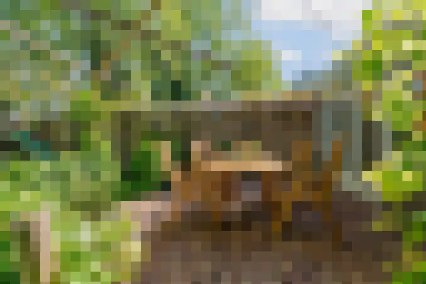 Korte Smallesteeg 4 Wijchen thumbnail 43