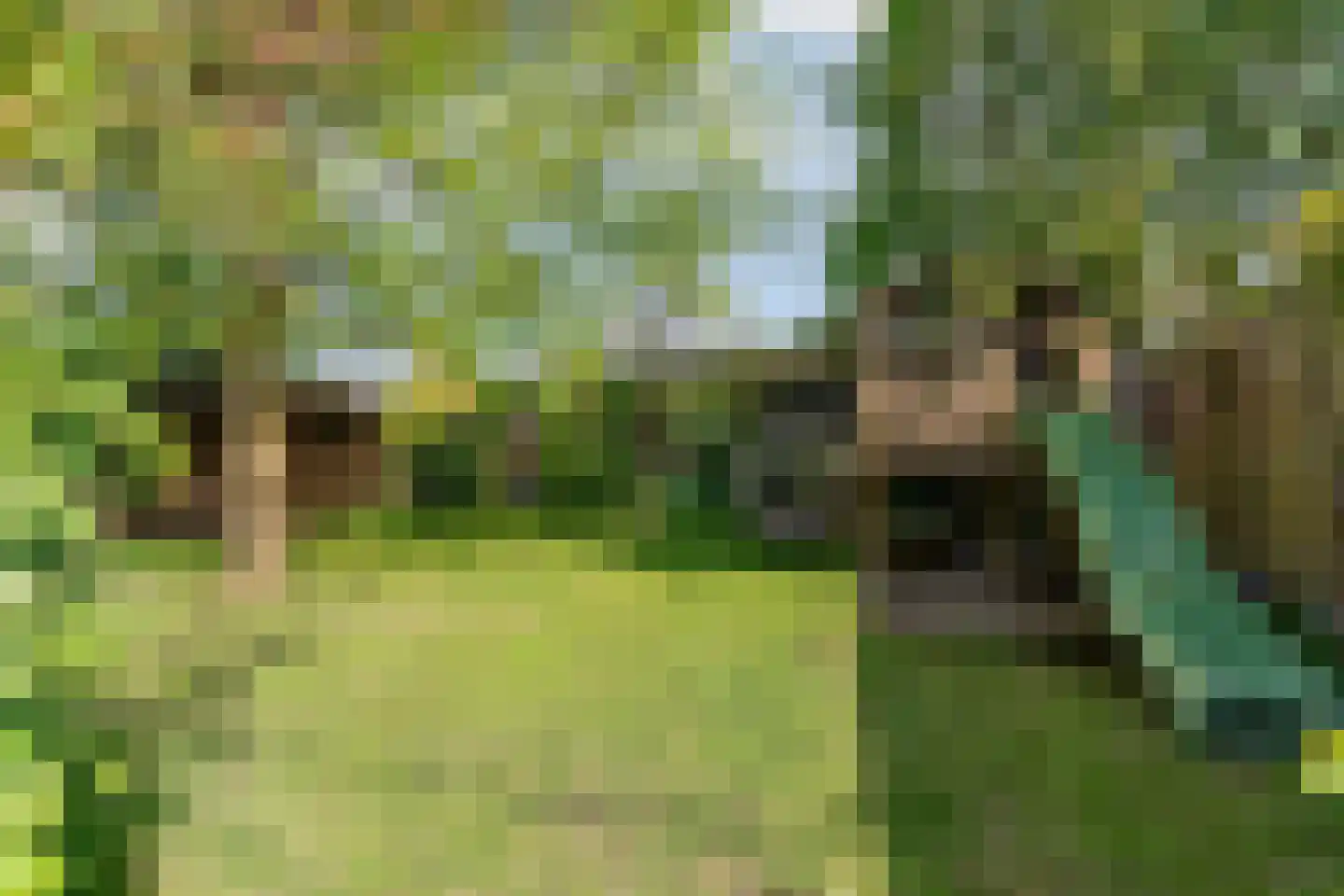 Korte Smallesteeg 4 Wijchen thumbnail 46