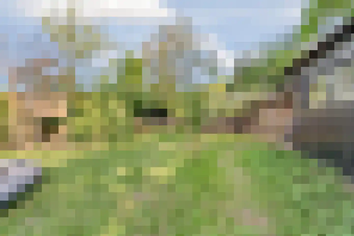 Korte Smallesteeg 4 Wijchen thumbnail 48