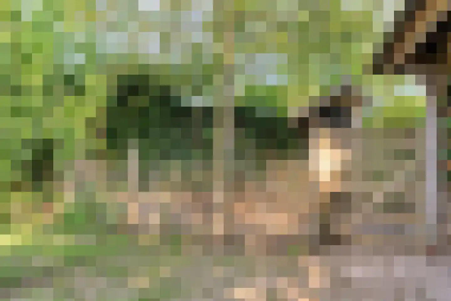 Korte Smallesteeg 4 Wijchen thumbnail 49