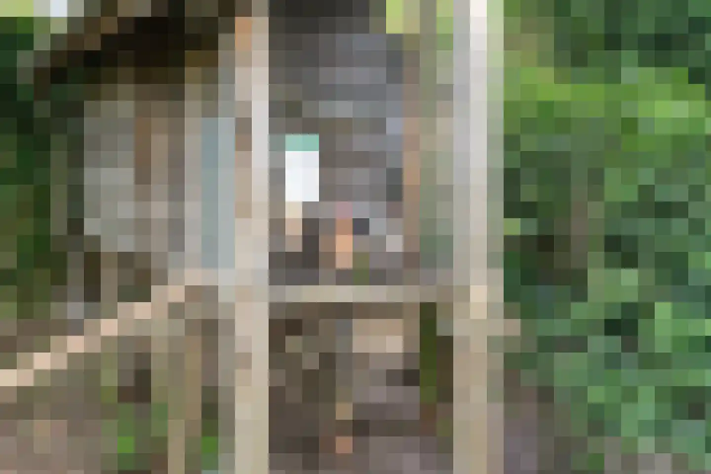 Korte Smallesteeg 4 Wijchen thumbnail 50