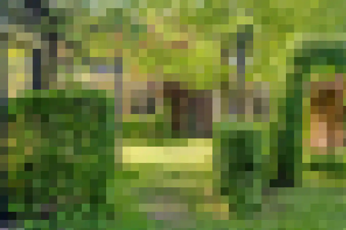 Korte Smallesteeg 4 Wijchen thumbnail 52