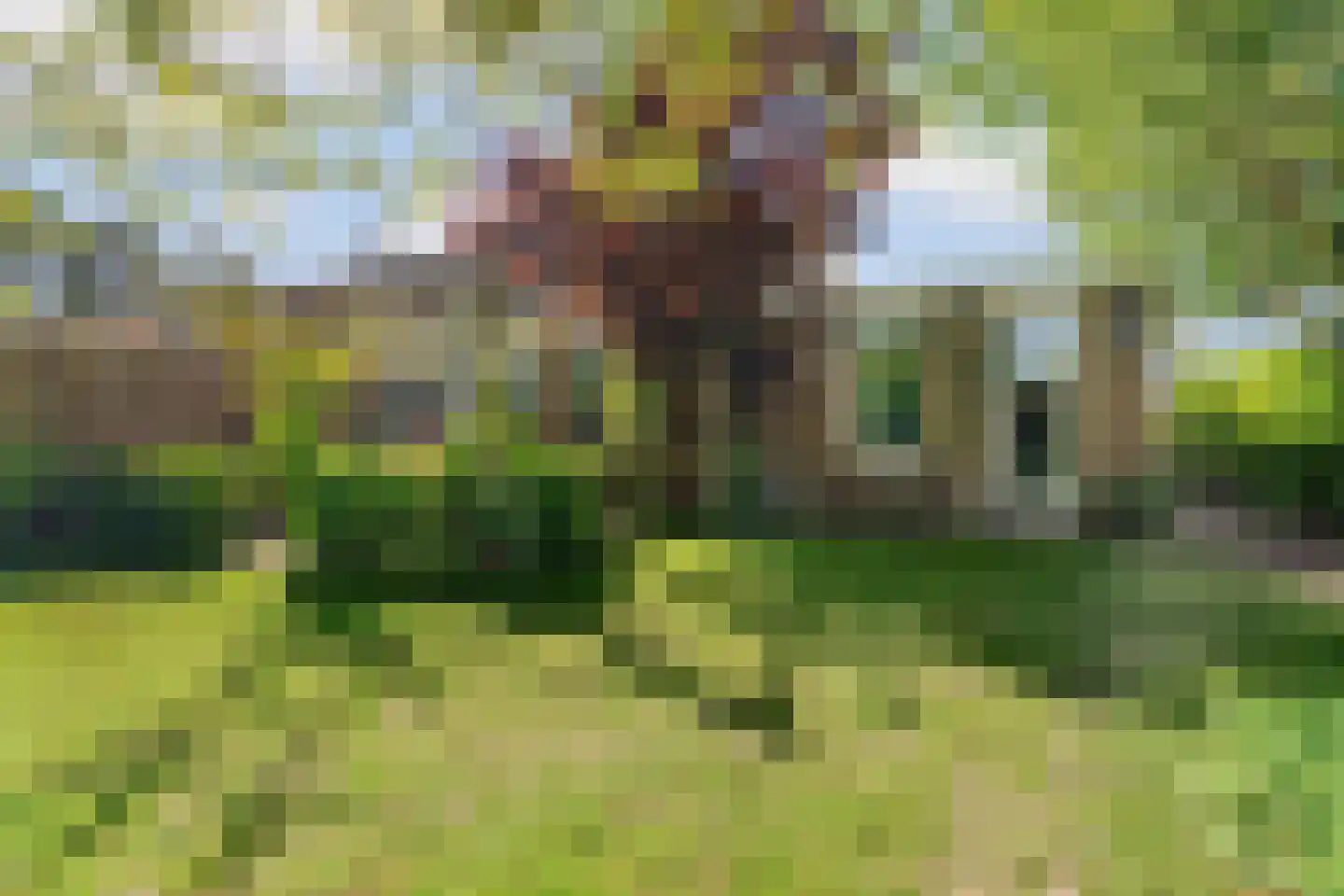 Korte Smallesteeg 4 Wijchen thumbnail 54