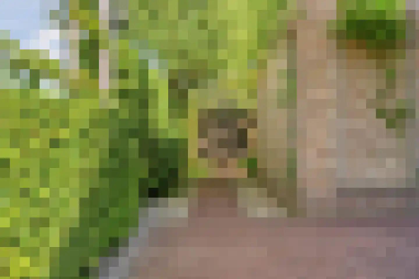 Korte Smallesteeg 4 Wijchen thumbnail 55