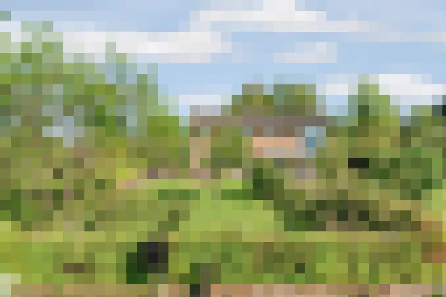Korte Smallesteeg 4 Wijchen thumbnail 59