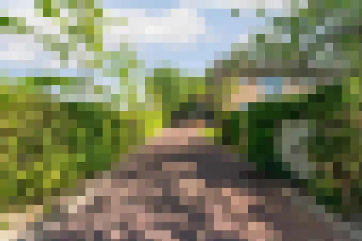 Korte Smallesteeg 4 Wijchen thumbnail 61