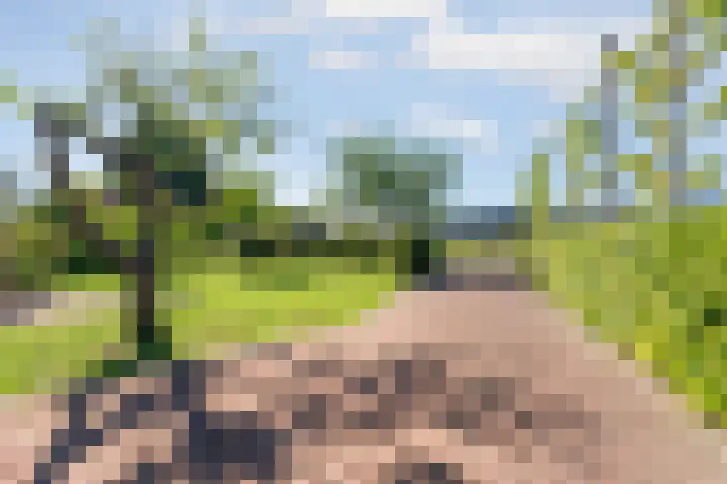 Korte Smallesteeg 4 Wijchen thumbnail 62