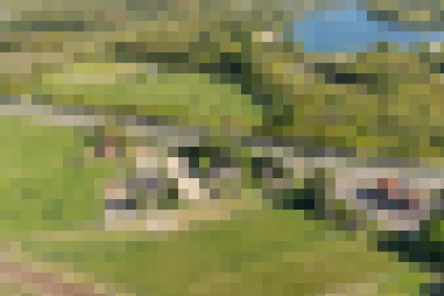 Korte Smallesteeg 4 Wijchen thumbnail 66
