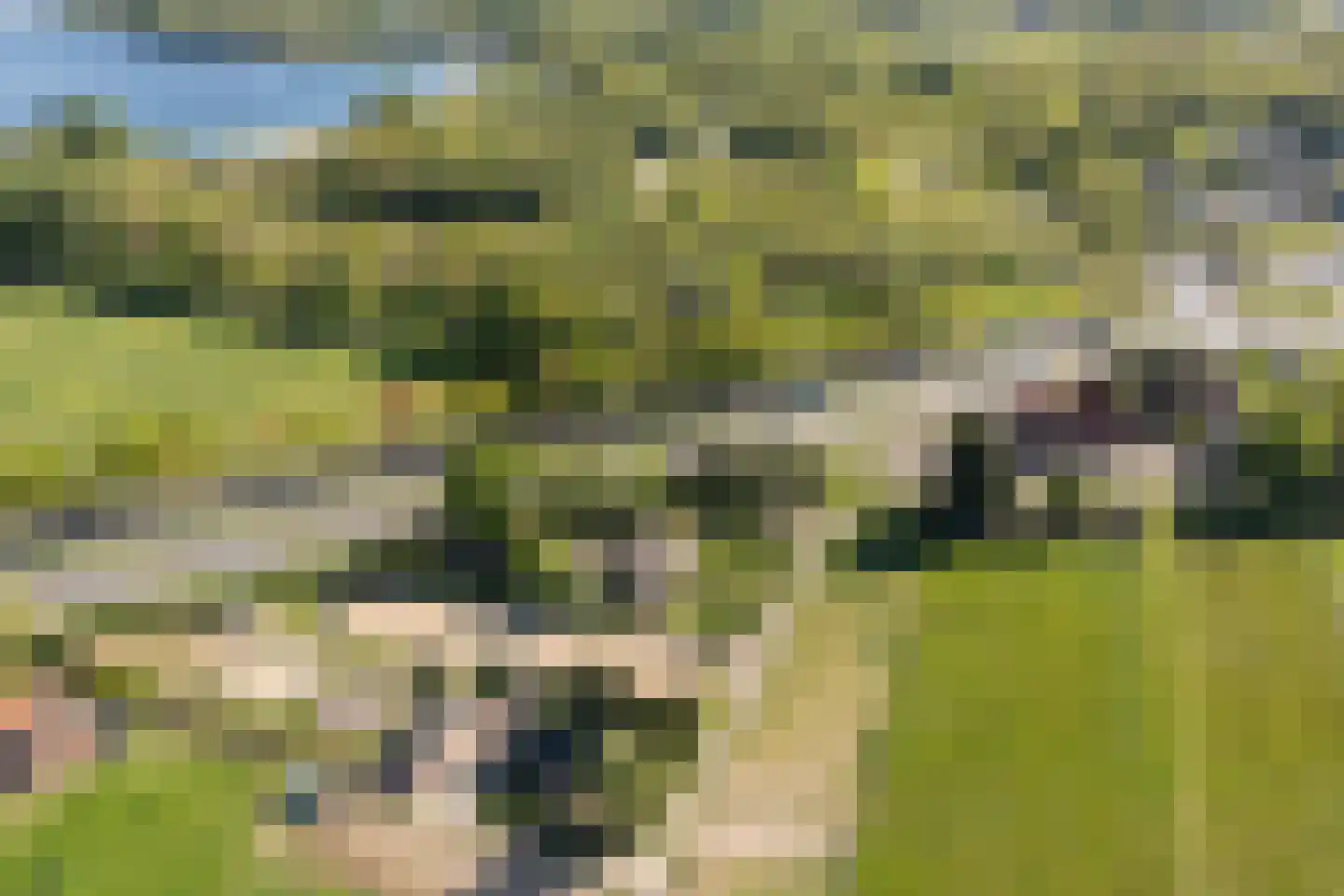 Korte Smallesteeg 4 Wijchen thumbnail 67
