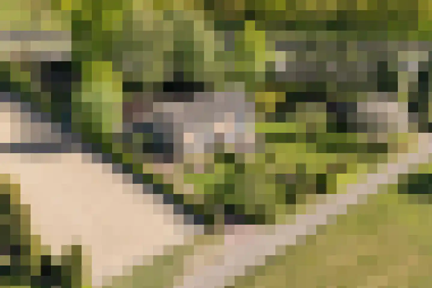 Korte Smallesteeg 4 Wijchen thumbnail 69