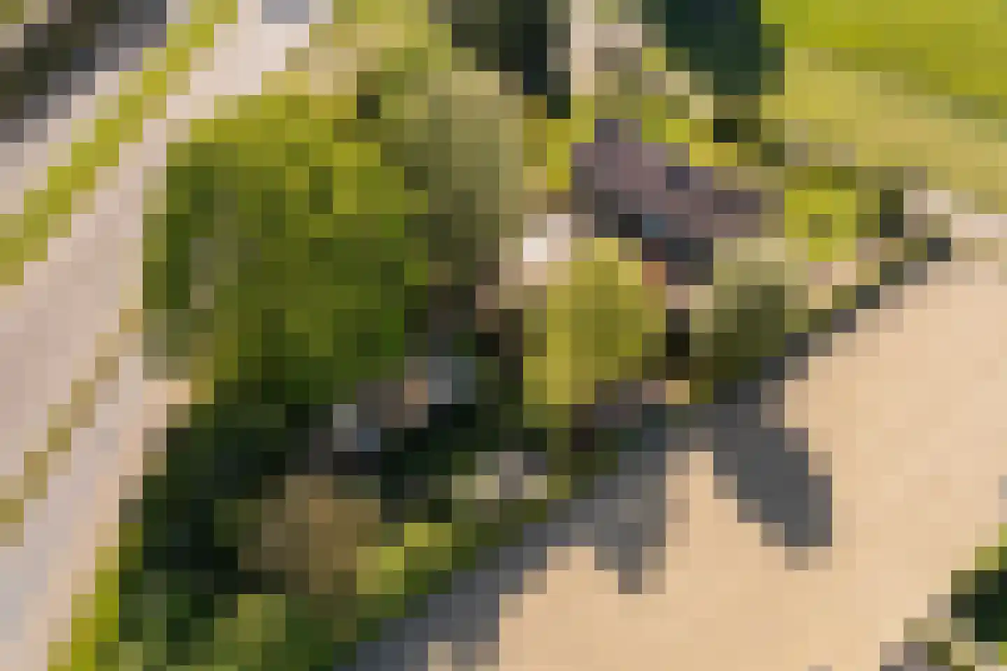 Korte Smallesteeg 4 Wijchen thumbnail 70