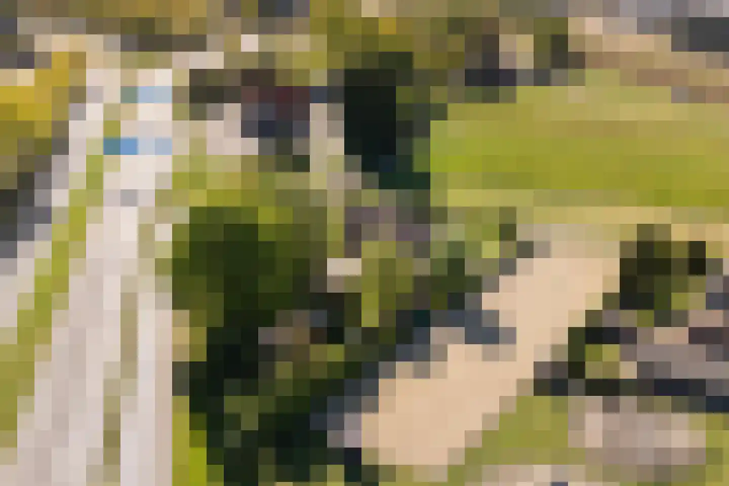 Korte Smallesteeg 4 Wijchen thumbnail 71