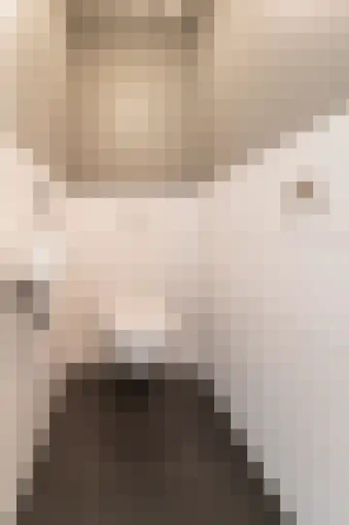 Korte Smeestraat 15 Utrecht thumbnail 14