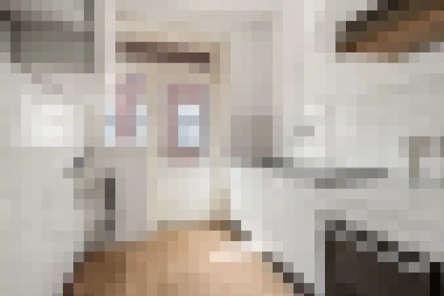 Korte Smeestraat 22 A BS Utrecht thumbnail 15