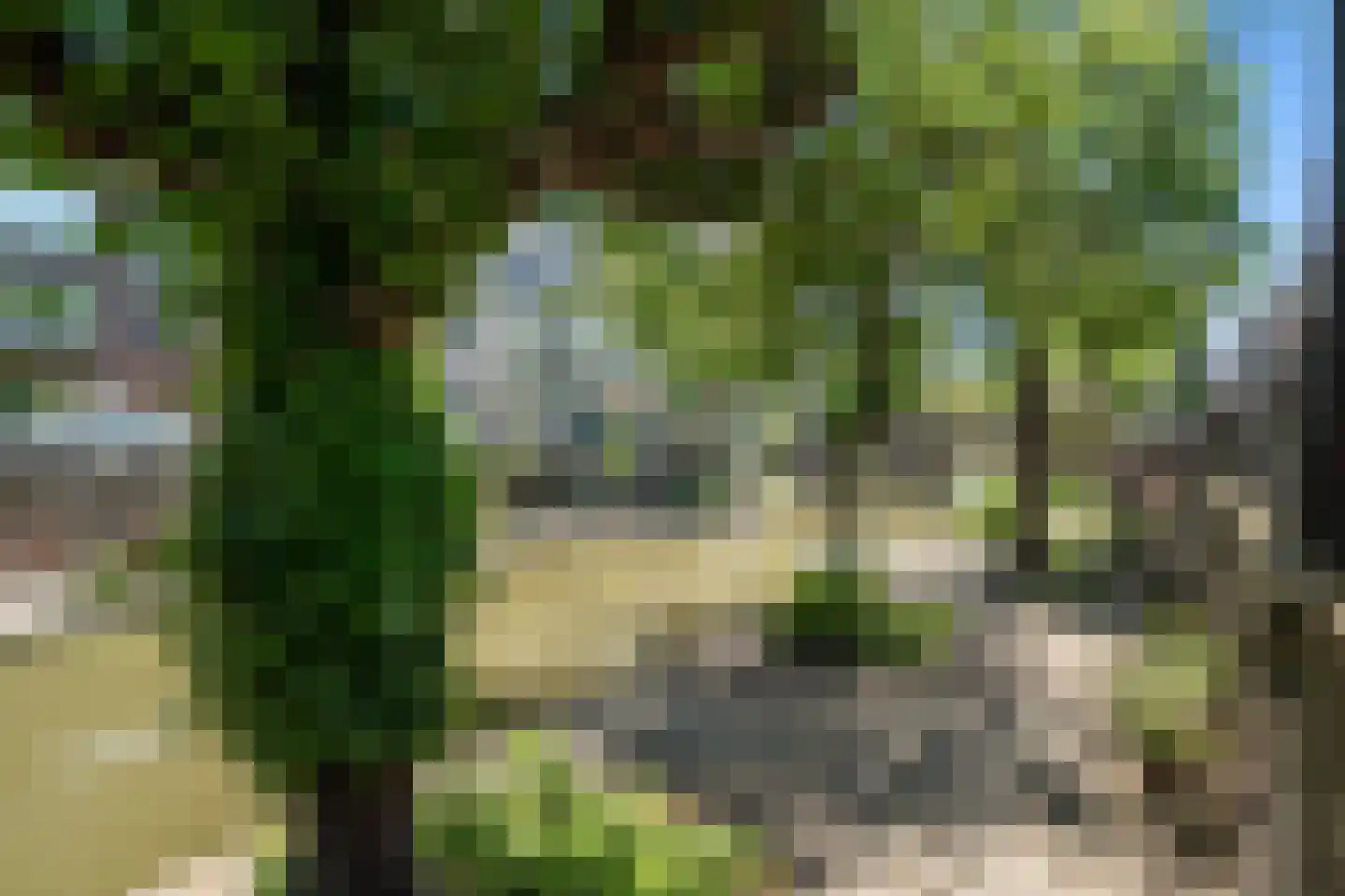 Korte Smeestraat 22 A Utrecht thumbnail 34