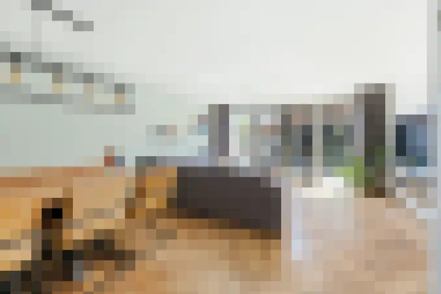 Korte Smidsweg 23 's-Gravendeel thumbnail 21