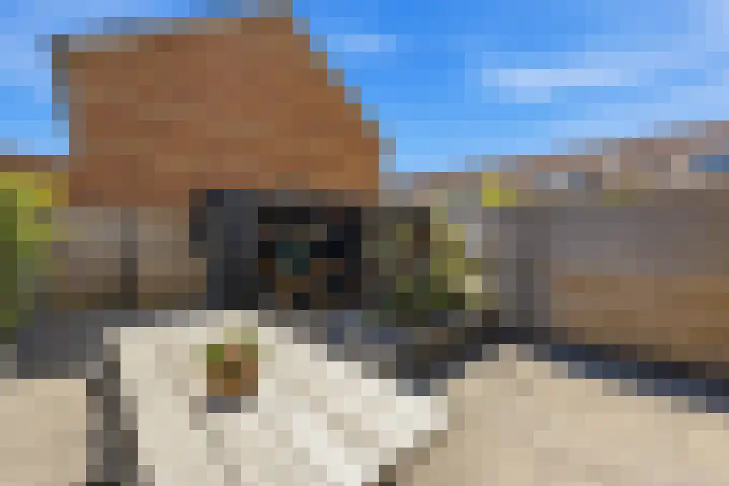 Korte Smidsweg 23 's-Gravendeel thumbnail 4