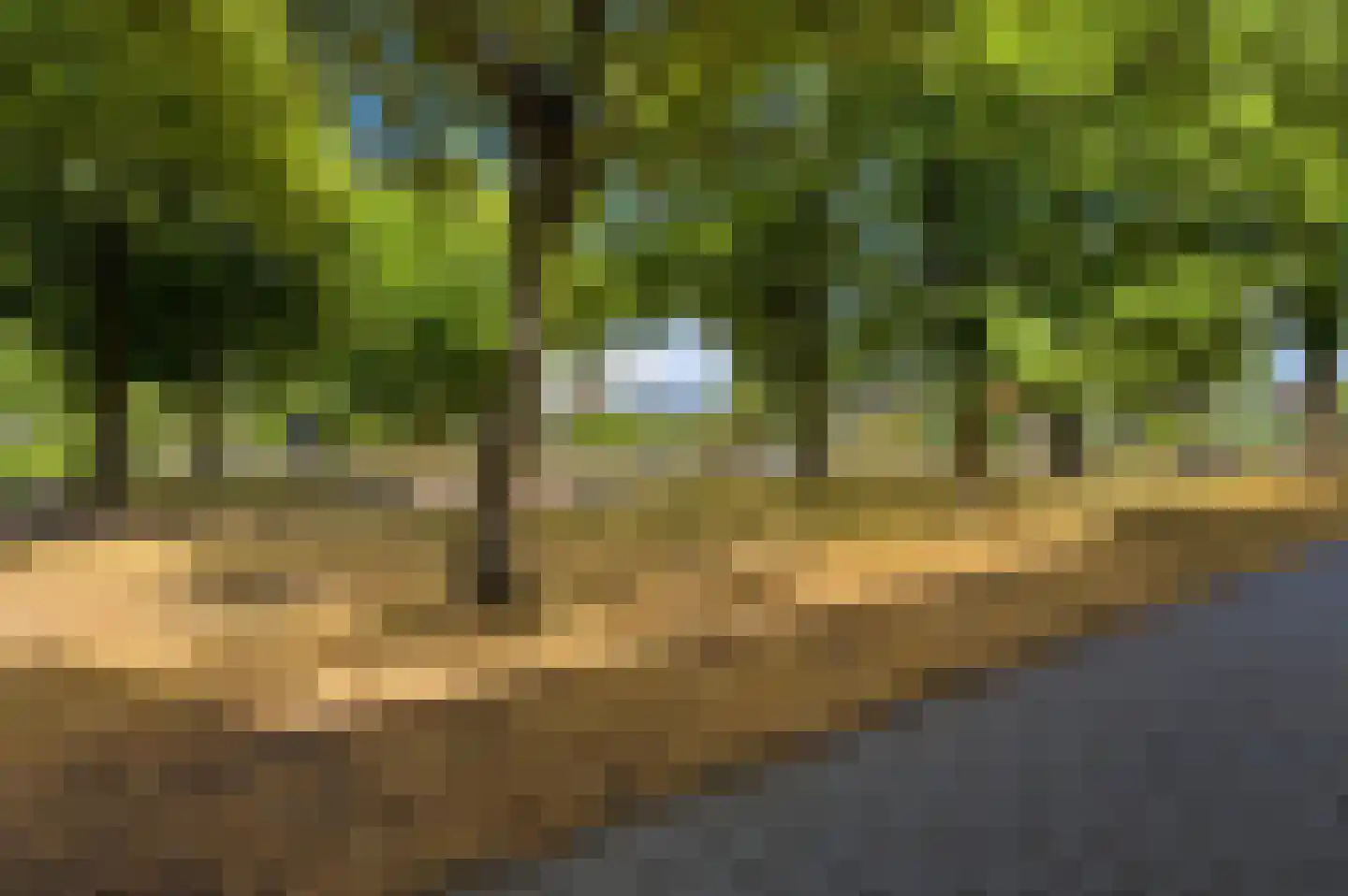 Korte Smidsweg 23 's-Gravendeel thumbnail 49