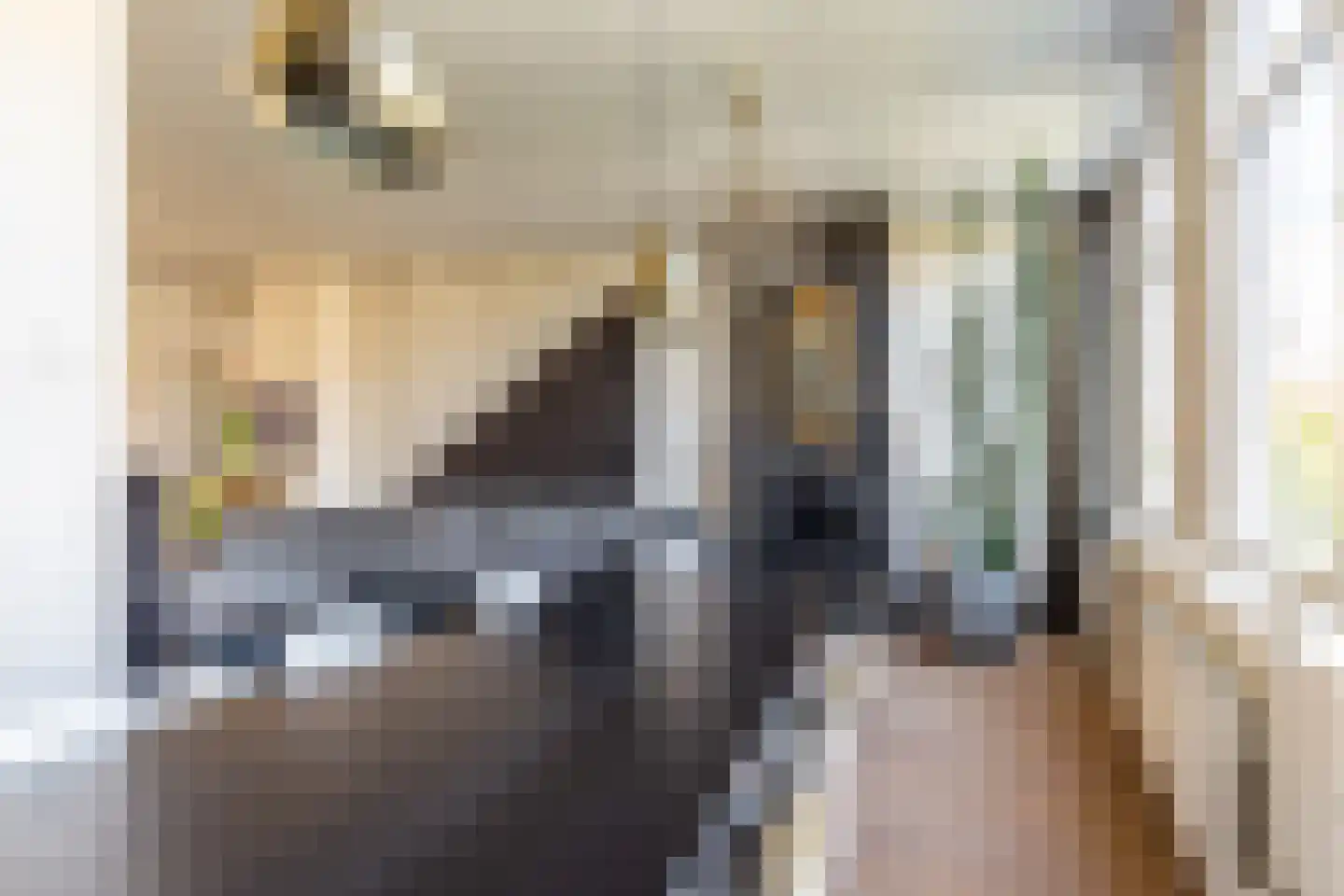 Korte Spaarne 17 Haarlem thumbnail 23