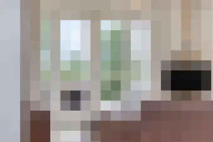 Korte Spiekerweg 3 Epe thumbnail 10
