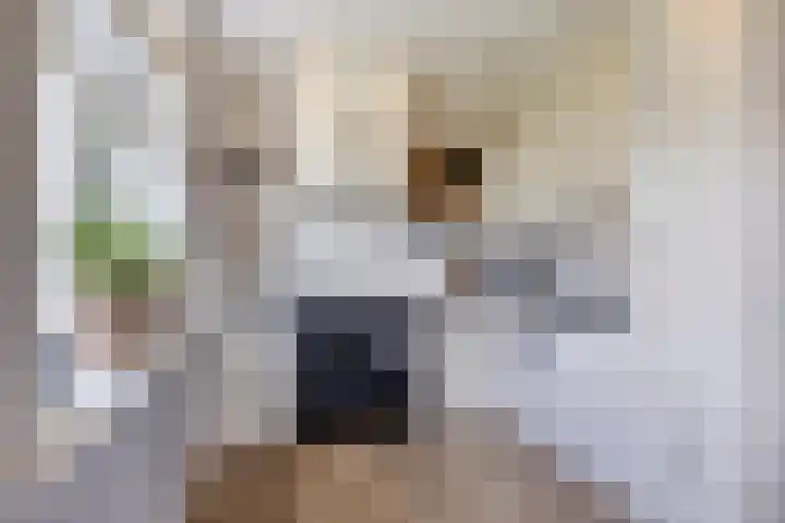 Korte Spiekerweg 3 Epe thumbnail 16