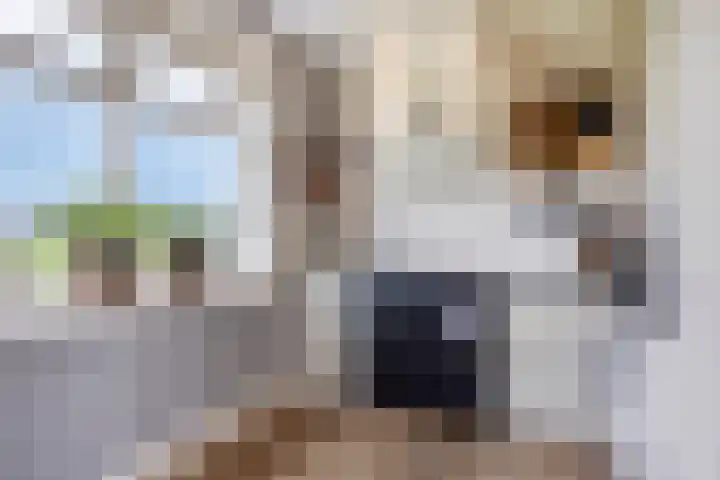 Korte Spiekerweg 3 Epe thumbnail 17