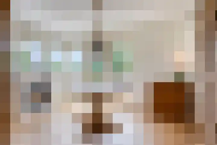 Korte Spiekerweg 3 Epe thumbnail 19