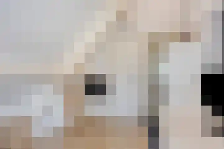 Korte Spiekerweg 3 Epe thumbnail 31
