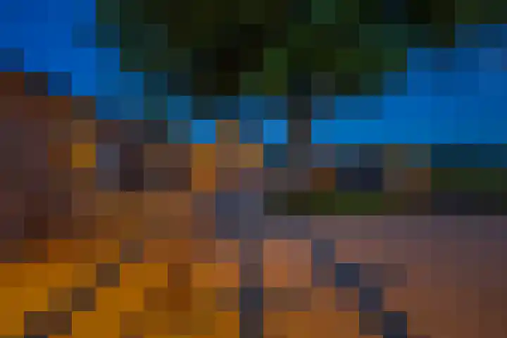Korte Spiekerweg 3 Epe thumbnail 33