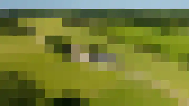 Korte Spiekerweg 3 Epe thumbnail 4
